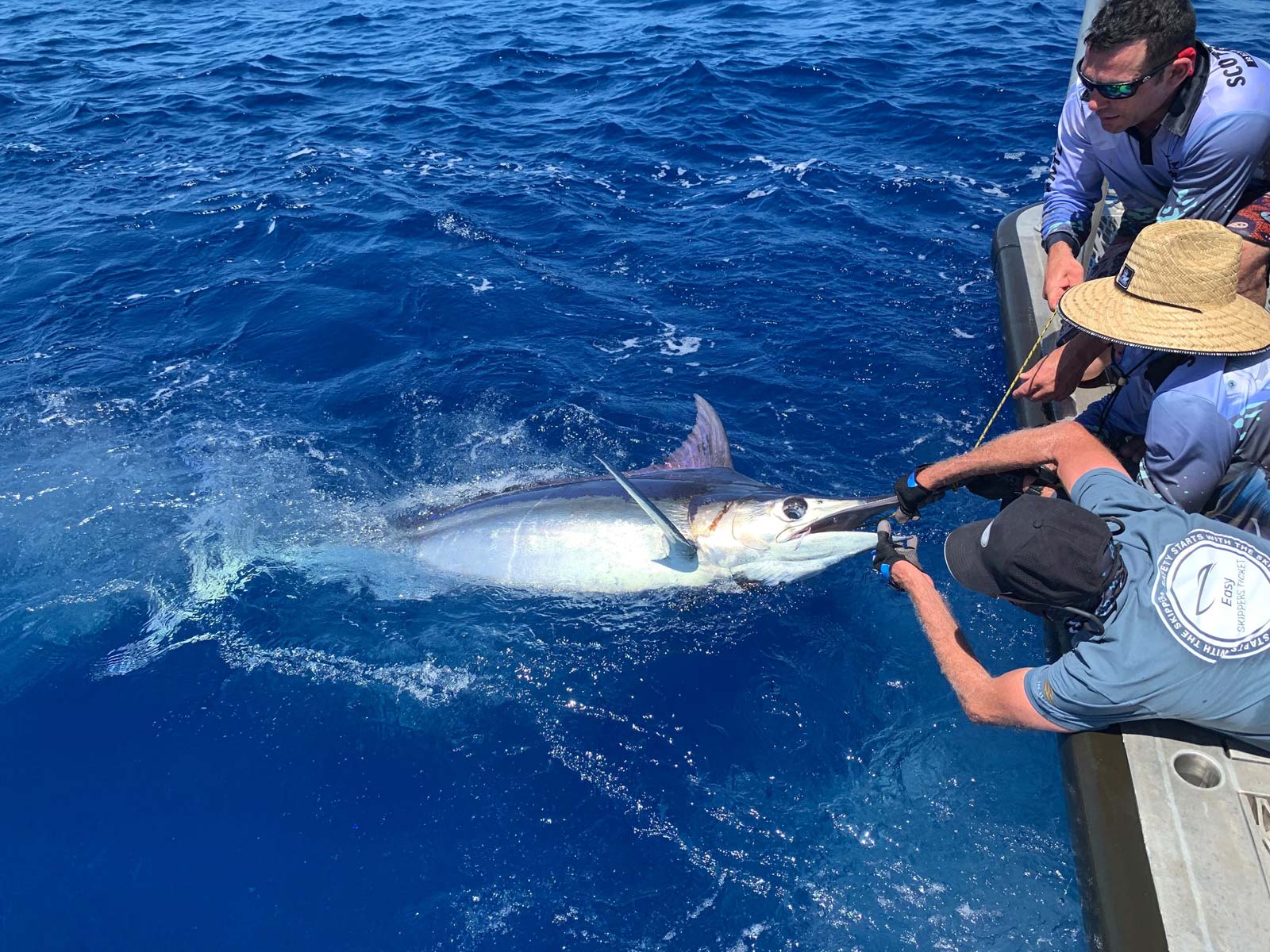 Brian Edwards laying down holding the bill of a prize large blue marlin before releasing to the wild
