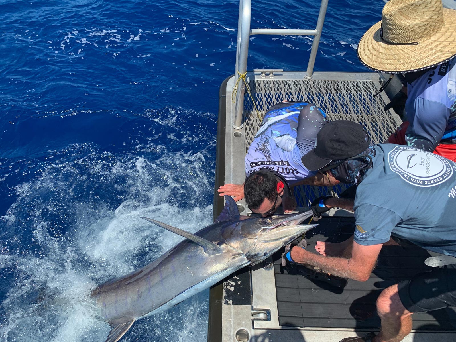 Kissing a large blue marlin before releasing