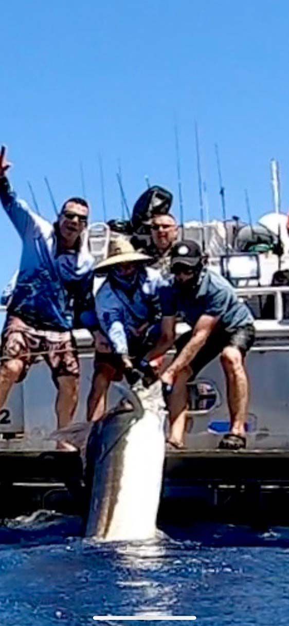 Crew and fisherman pulling up a large blue marlin to tag before releasing back to sea