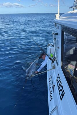 Landing a huge swordfish